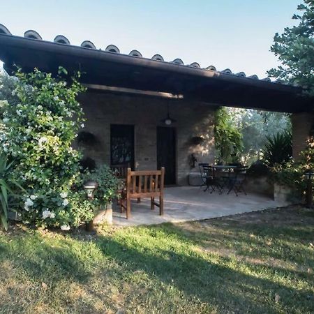 Dimora Borgogni: Country House Perugia Eksteriør billede